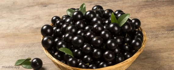 Jabuticaba Frucht