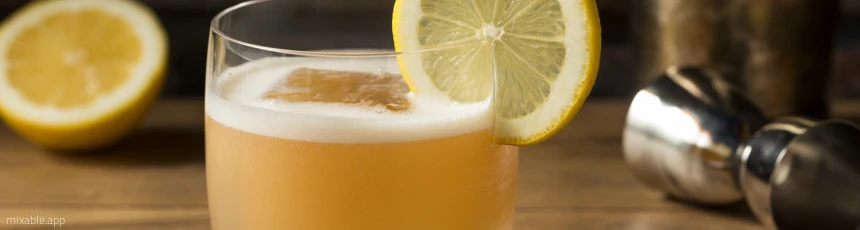 Frangelico Sour